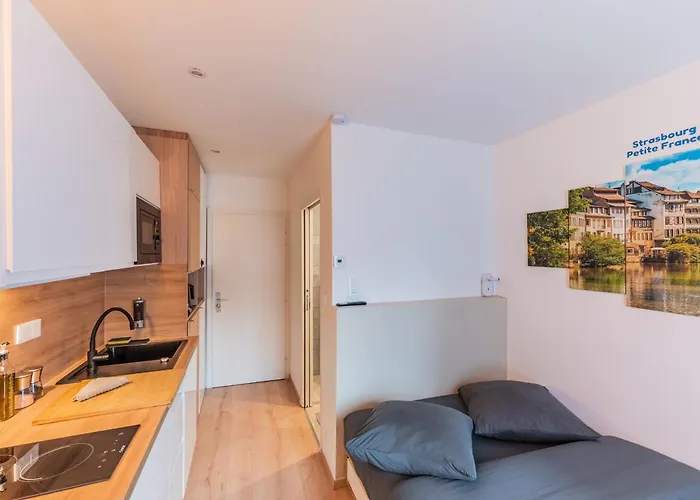 1 - Gare - Petite France - Commerces A Proximite Apartment *