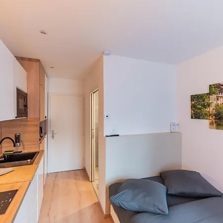 1 - Gare - Petite France - Commerces A Proximite Apartman *