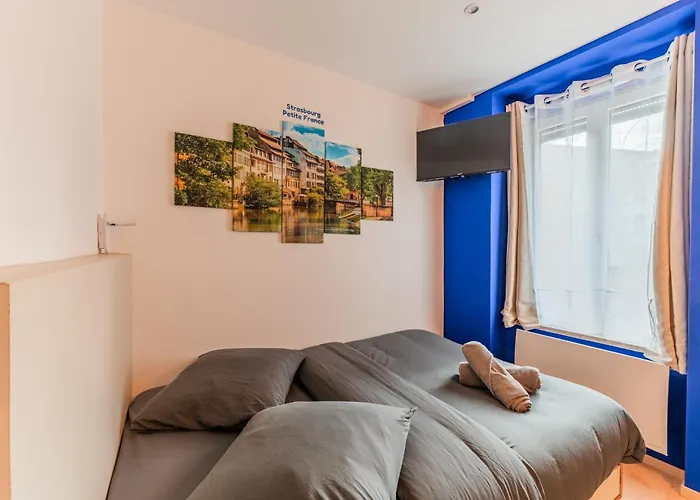 1 - Gare - Petite France - Commerces A Proximite Apartman Strasbourg